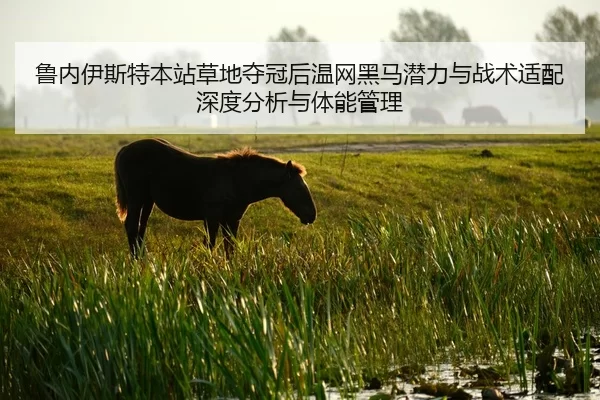 lu-nei-yi-si-te-ben-zhan-cao-di-duo-guan-hou-wen-wang-hei-ma-qian-li-yu-zhan-shu-shi-pei-shen-du-fen-xi-yu-ti-neng-guan-2-939.jpg